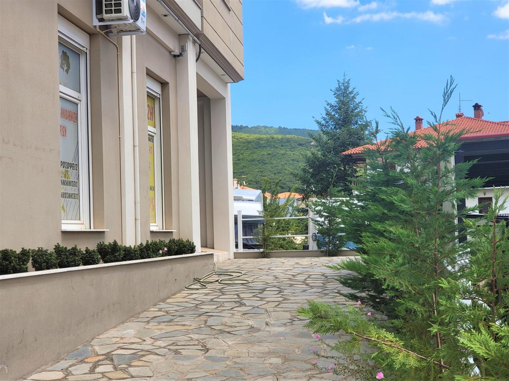 Lirtzis Luxury Apartment Polygyros